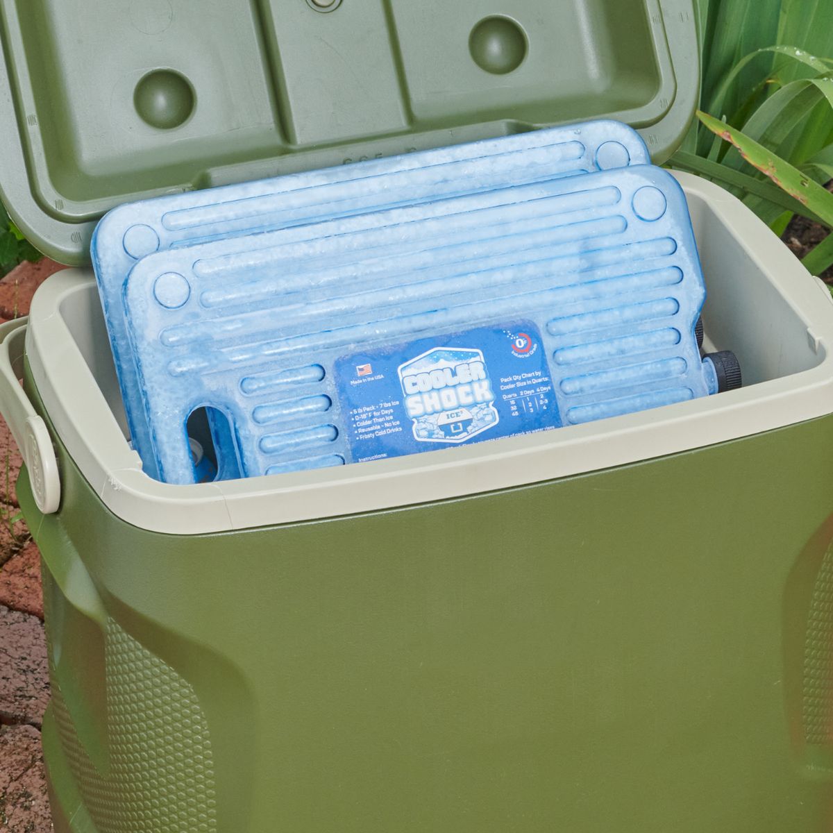 Hard Case Ice Packs by Cooler Shock
